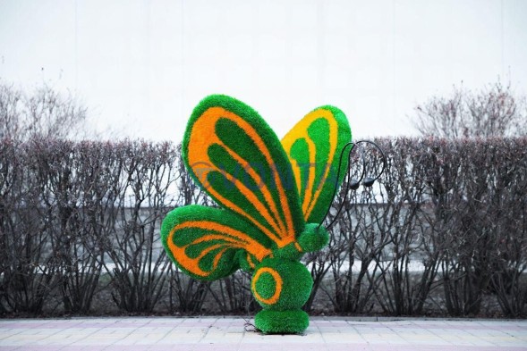 Топиари бабочка Какао Кристина — газон Eco