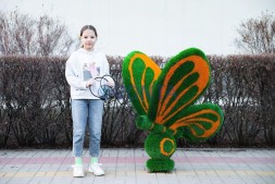 Топиари бабочка Какао Кристина — газон Eco