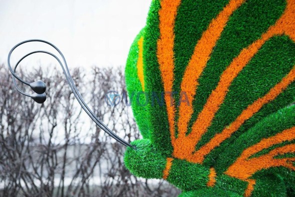 Топиари бабочка Какао Кристина — газон Eco