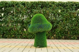 Топиари композиция грибы сказочные — газон Deluxe