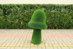 Топиари композиция грибы сказочные — газон Deluxe