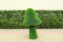 Топиари композиция грибы сказочные — газон Deluxe