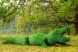 Топиари крокодил Нельсон — газон Eco + Green Eco