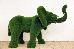 Топиари слон Абхей — газон Deluxe Green