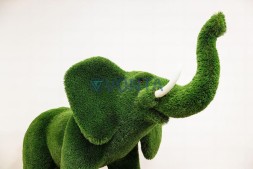 Топиари слон Абхей — газон Deluxe Green