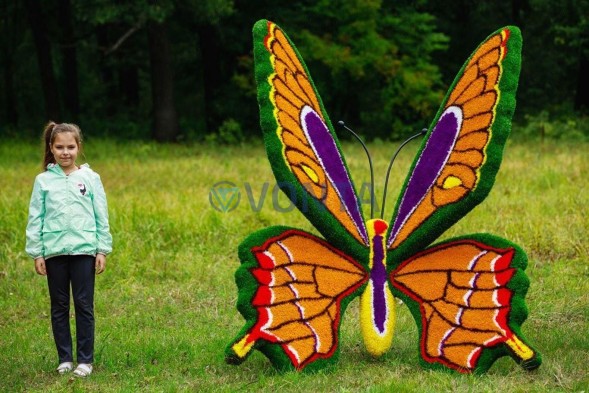 Топиари бабочка Королева III — газон Eco