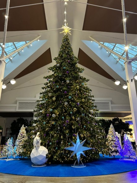 Ель «Кремлевская» - 8 м