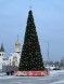 Уличная каркасная сосна «Уральская» 5 м