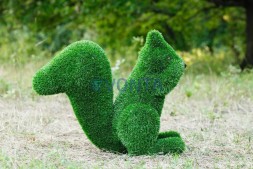 Топиари белочка Малышка — газон Eco