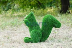 Топиари белочка Малышка — газон Eco