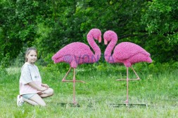 Топиари фламинго, Арина — газон Eco