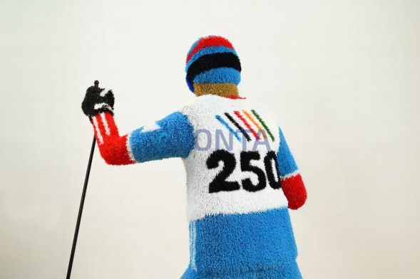 Топиари лыжник, h=200 см — газон Есо