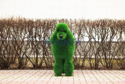 Топиари собака пудель — газон Deluxe
