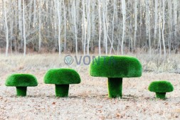 Топиари композиция грибы сыроежки, набор №2 — газон Deluxe