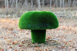 Топиари композиция грибы сыроежки, набор №2 — газон Deluxe