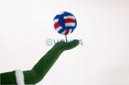 Топиари волейболист — газон Есо