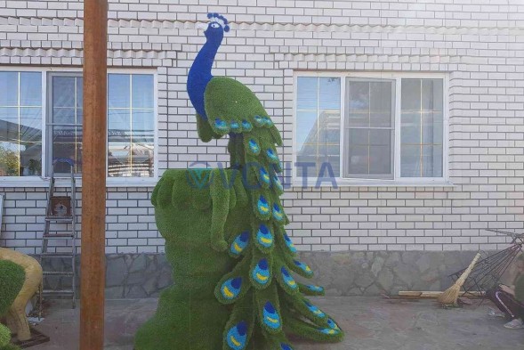 Топиари павлин Корица — газон Premium