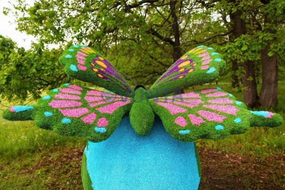 Топиари композиция бабочка на земном шаре №2 — газон Eco + Eco +