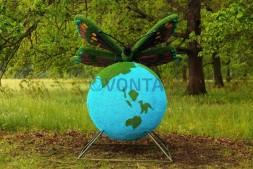 Топиари композиция бабочка на земном шаре №2 — газон Eco + Eco +