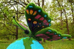 Топиари композиция бабочка на земном шаре №2 — газон Eco + Eco +