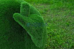 Топиари композиция яблоки- газон Eco Green