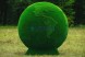 Топиари земной шар, d=220см — газон Eco + Premium