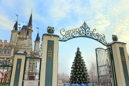 Ель «Кремлевская» - 12 м