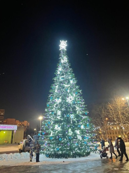 Ель «Кремлевская» - 12 м