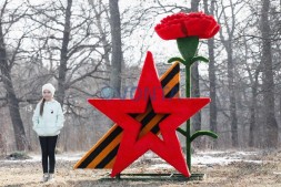 Топиари звезда Победы, h=250 см — газон Eco