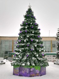 Ель «Кремлевская» - 13 м