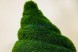 Топиари улитка Рая — газон Eco