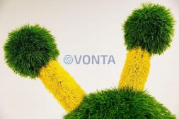 Топиари улитка Рая — газон Eco
