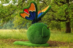 Топиари композиция бабочка на яблоке Синап — газон Eco Green
