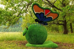 Топиари композиция бабочка на яблоке Синап — газон Eco Green