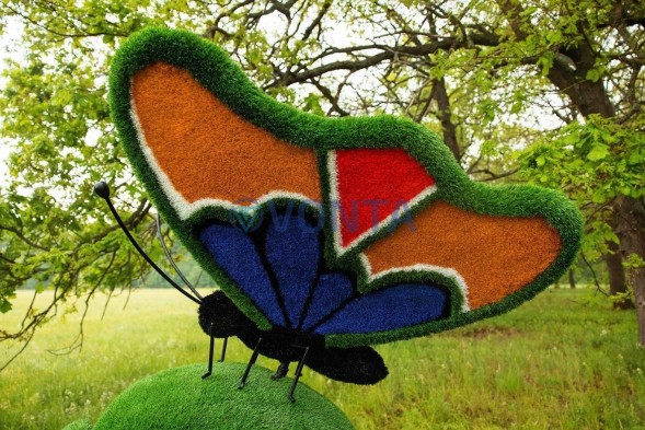 Топиари композиция бабочка на яблоке Синап — газон Eco Green