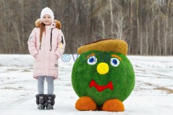 Топиари смайлик ВДВ — газон Eco + Premium