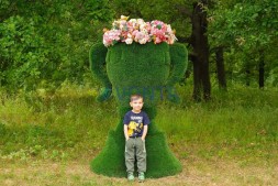 Топиари вазон Чаша — газон Deluxe