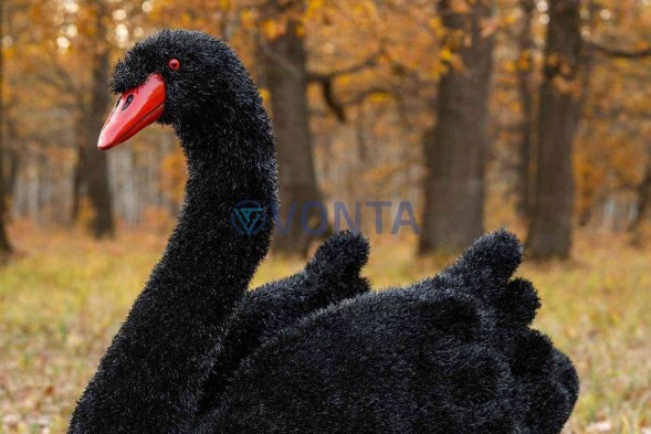Топиари лебедь черный Блэк — газон Eco