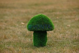 Топиари гриб белый, h=40 см — газон Eco