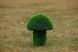Топиари гриб белый, h=40 см — газон Eco