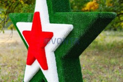 Топиари звезда с лентой — газон Eco