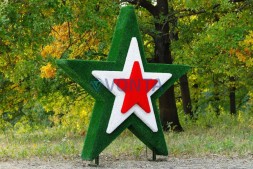 Топиари звезда с лентой — газон Eco