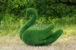 Топиари лебедь Кристи — газон Eco