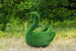 Топиари лебедь Кристи — газон Eco