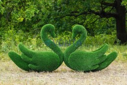 Топиари лебедь Кристи — газон Eco