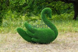 Топиари лебедь Кристи — газон Eco