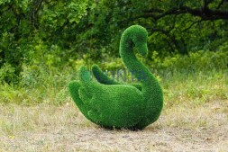 Топиари лебедь Кристи — газон Eco