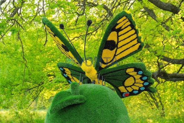 Топиари композиция бабочка на яблоке Розмарин — газон Eco + Deluxe