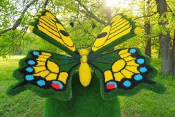 Топиари композиция бабочка на яблоке Розмарин — газон Eco + Deluxe