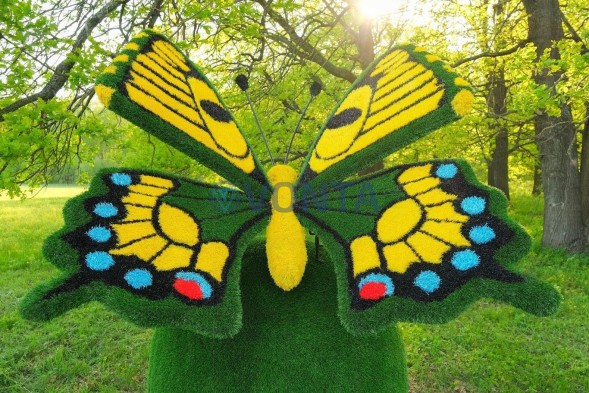 Топиари композиция бабочка на яблоке Розмарин — газон Eco + Deluxe